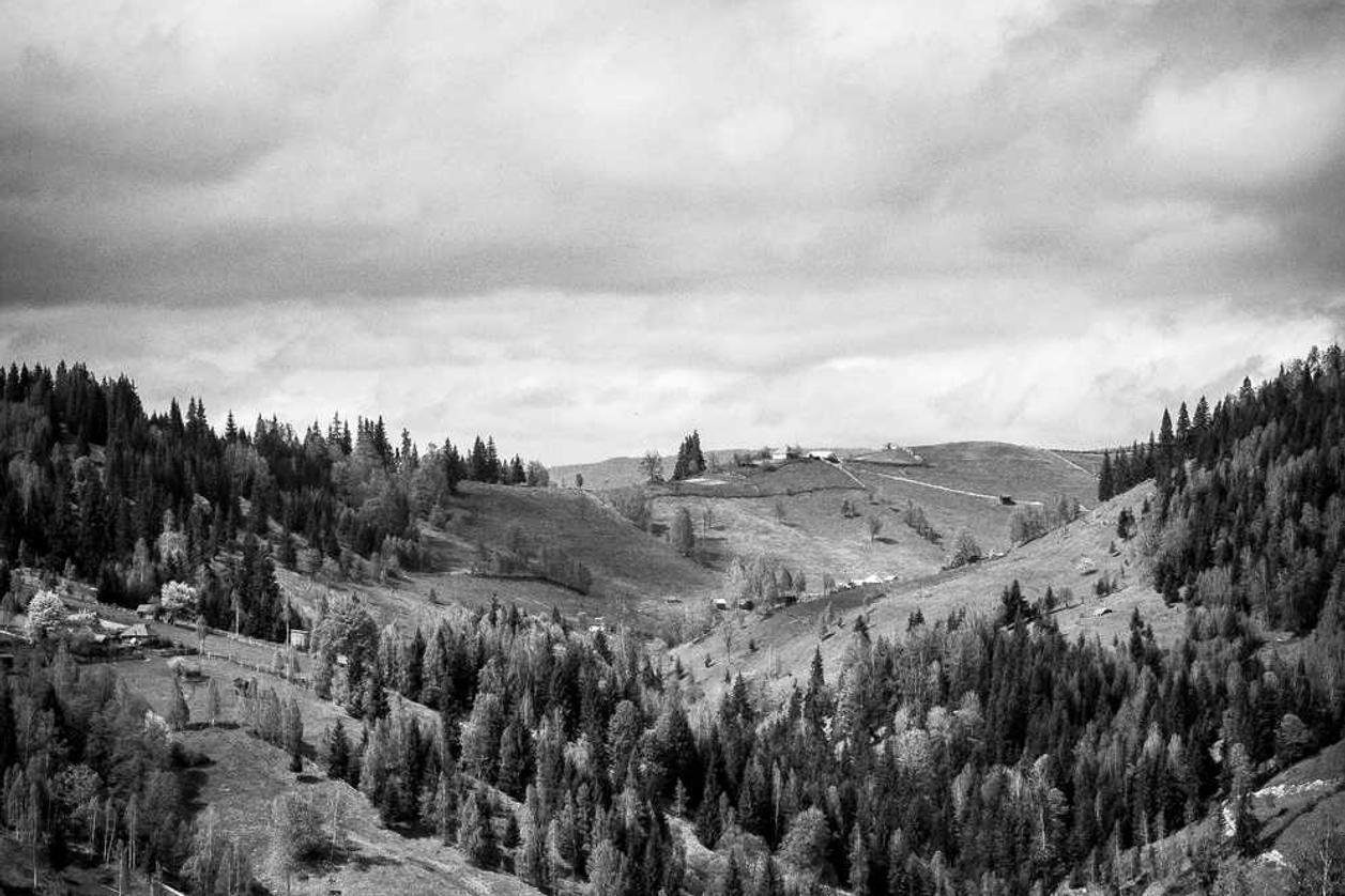 Est aliquid similique molestiae